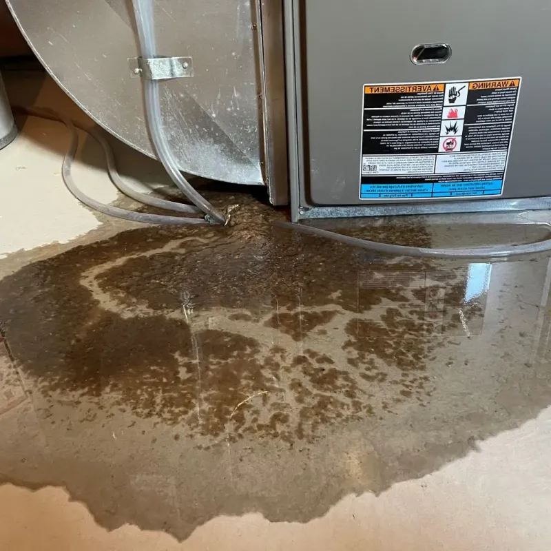 Pipe Burst and Leak Restoration in Heber City, UT
